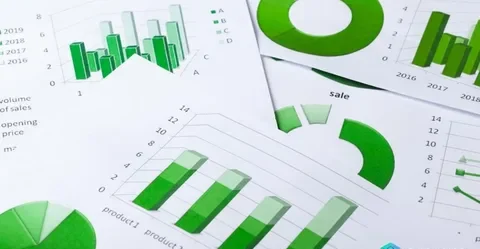 Финансовый анализ быстрорастущей компании